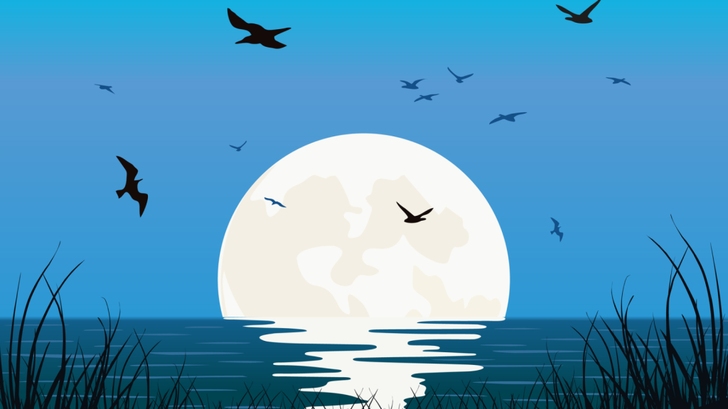 Full moon rising over the water