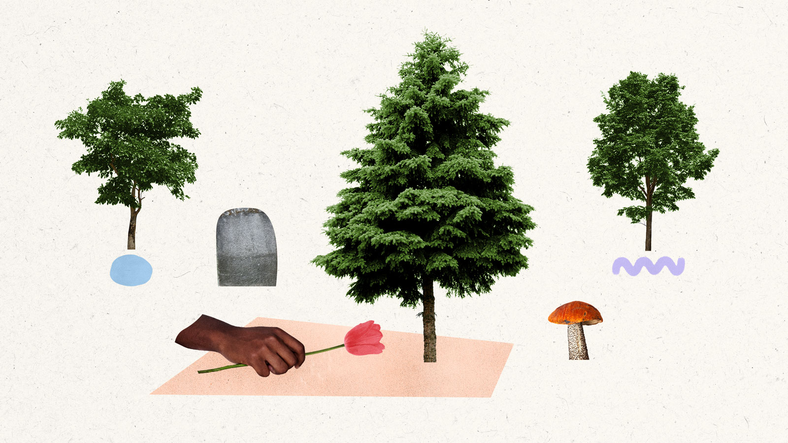 Illustration: Hand placing flower beneath tree instead of tombstone