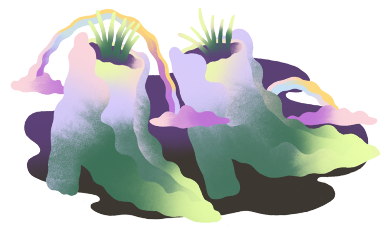 Plants growing out of boots between two rainbows