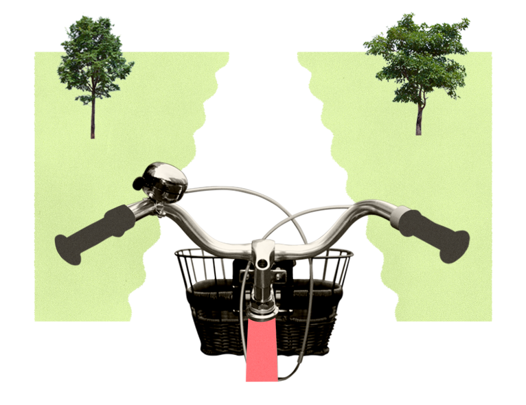 Bike handlebars facing a tree-lined path