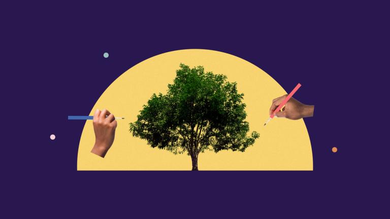 Hands drawing tree with sunrise in background