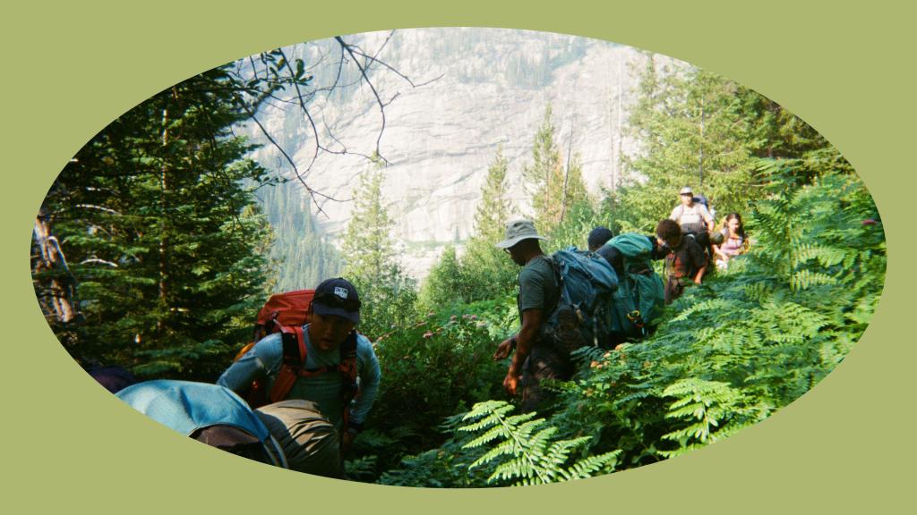 Group of hikers walk through a leafy path