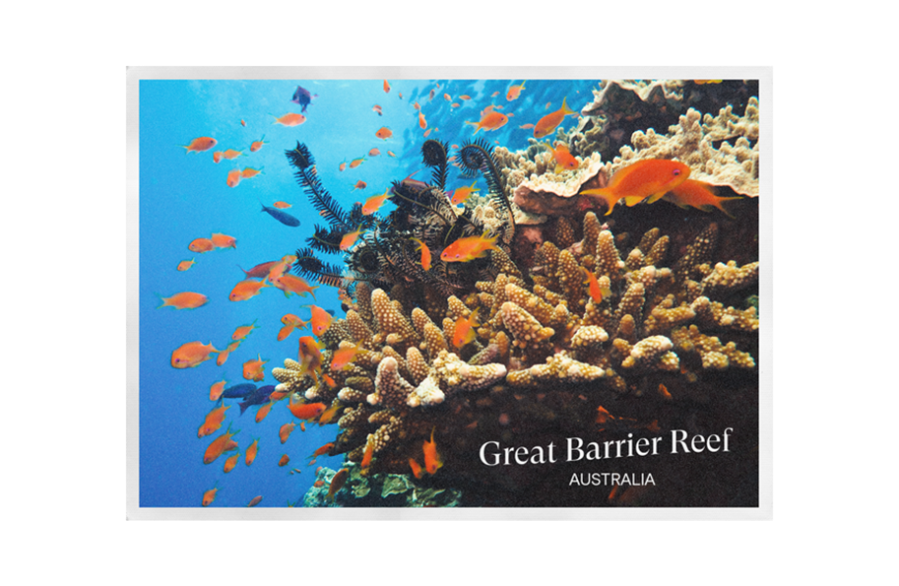 Postcard from the Great Barrier Reef featuring fish swimming around coral