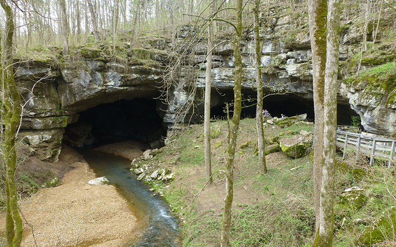 Exterior view of cave with stream flowing into opening
