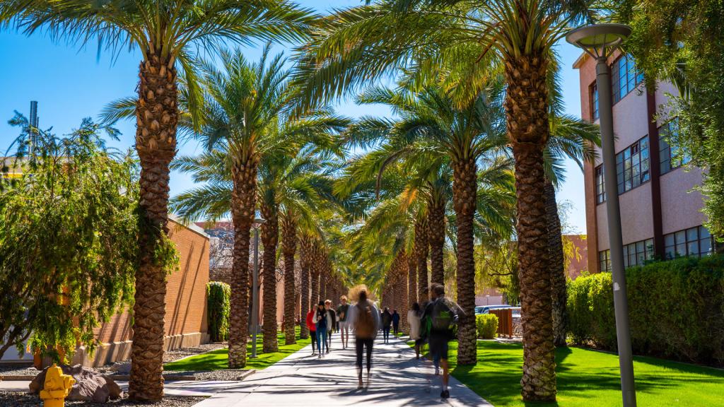 Students walk through path lined with palm trees on Arizona State University's campus