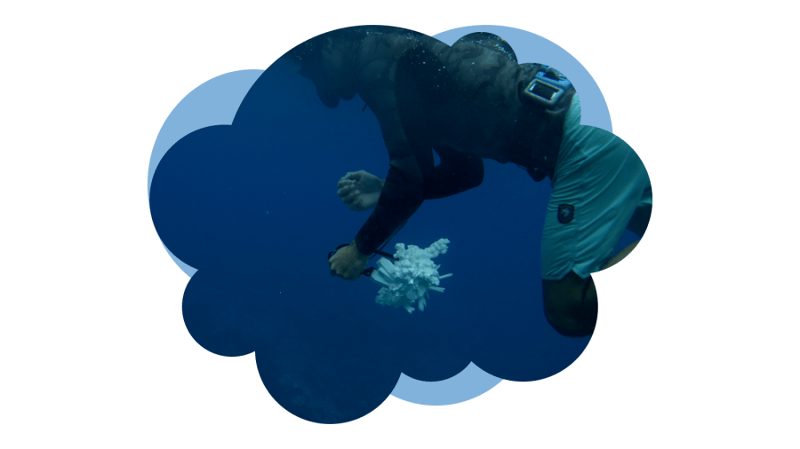 A diver swims just below the ocean's surface holding a fractal-like object