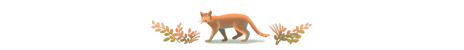 Illustration of lynx used to divide story text
