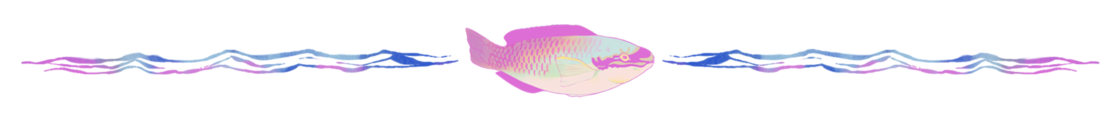 Illustration of parrotfish used to divide story text