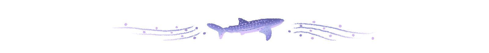 Illustration of whale shark used to divide story text