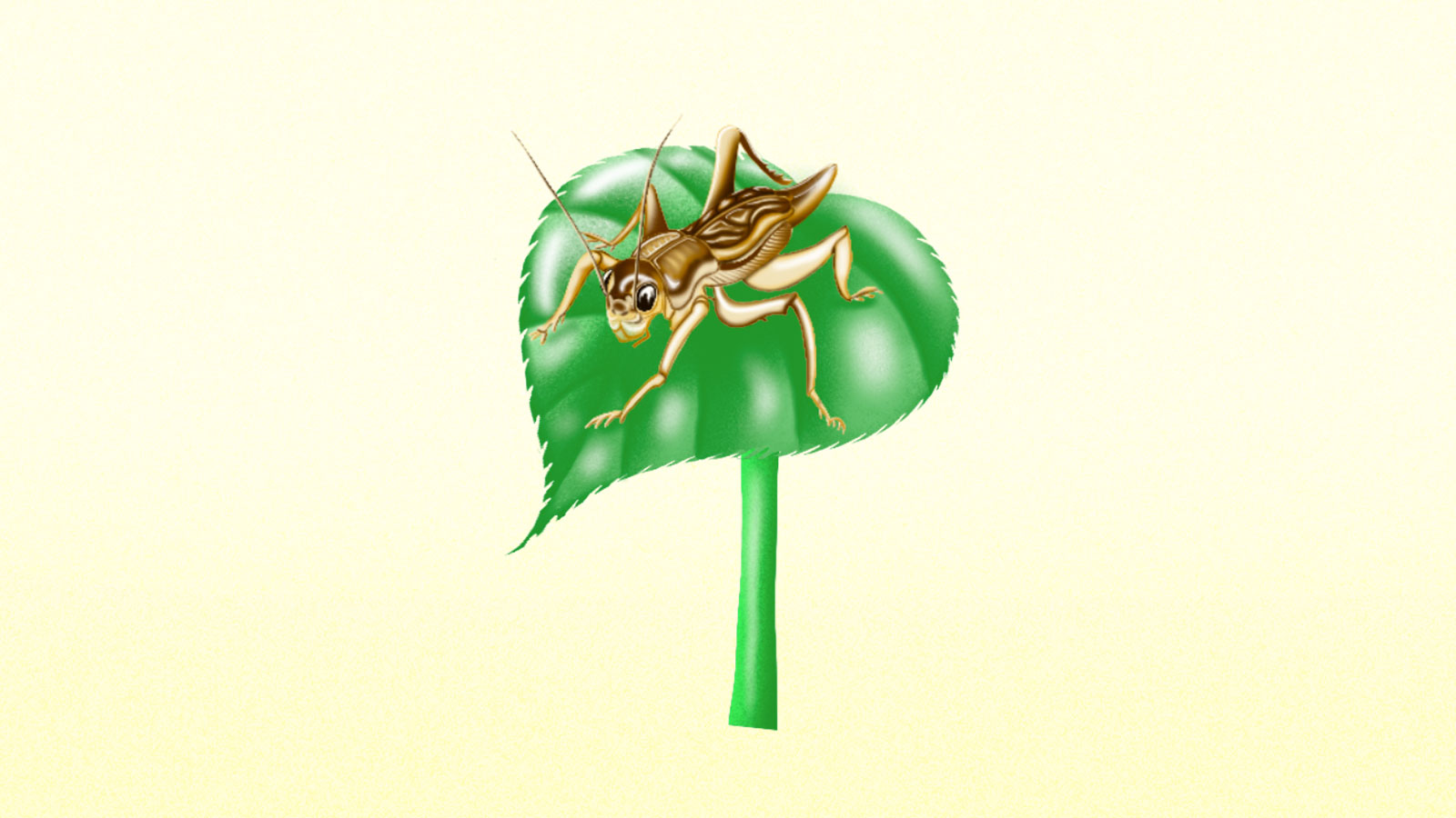 Illustration of cricket atop leaf on cream background