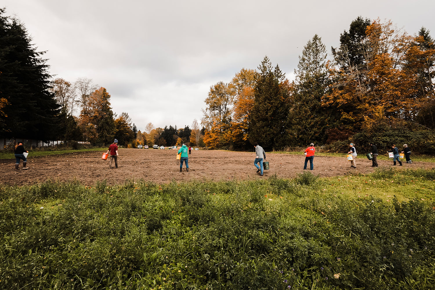 A group goes out to sow seeds on the Jamestown Tribe’s 1.5-acre prairie site.