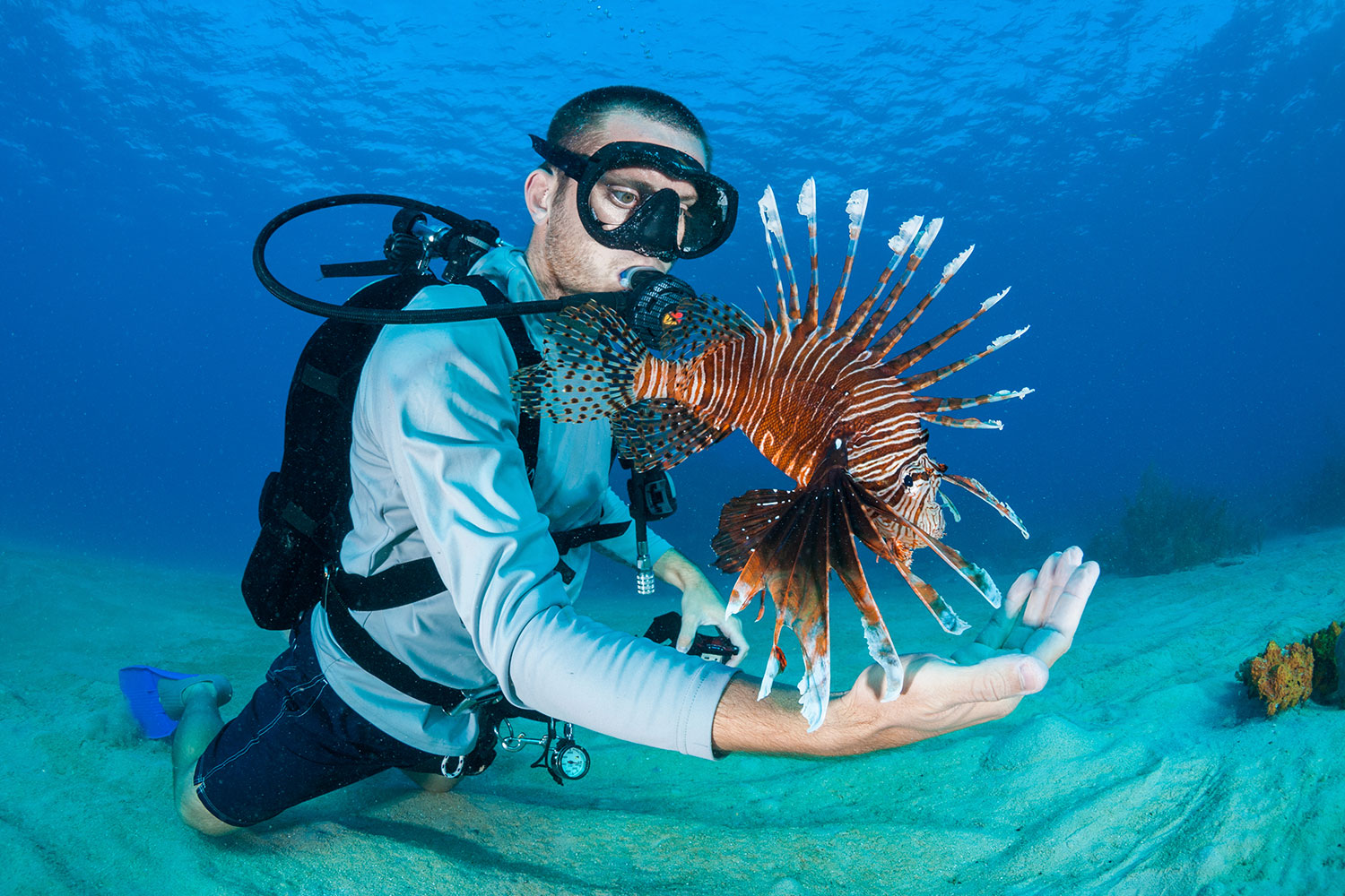 Diver holds arm out around lionfish underwater