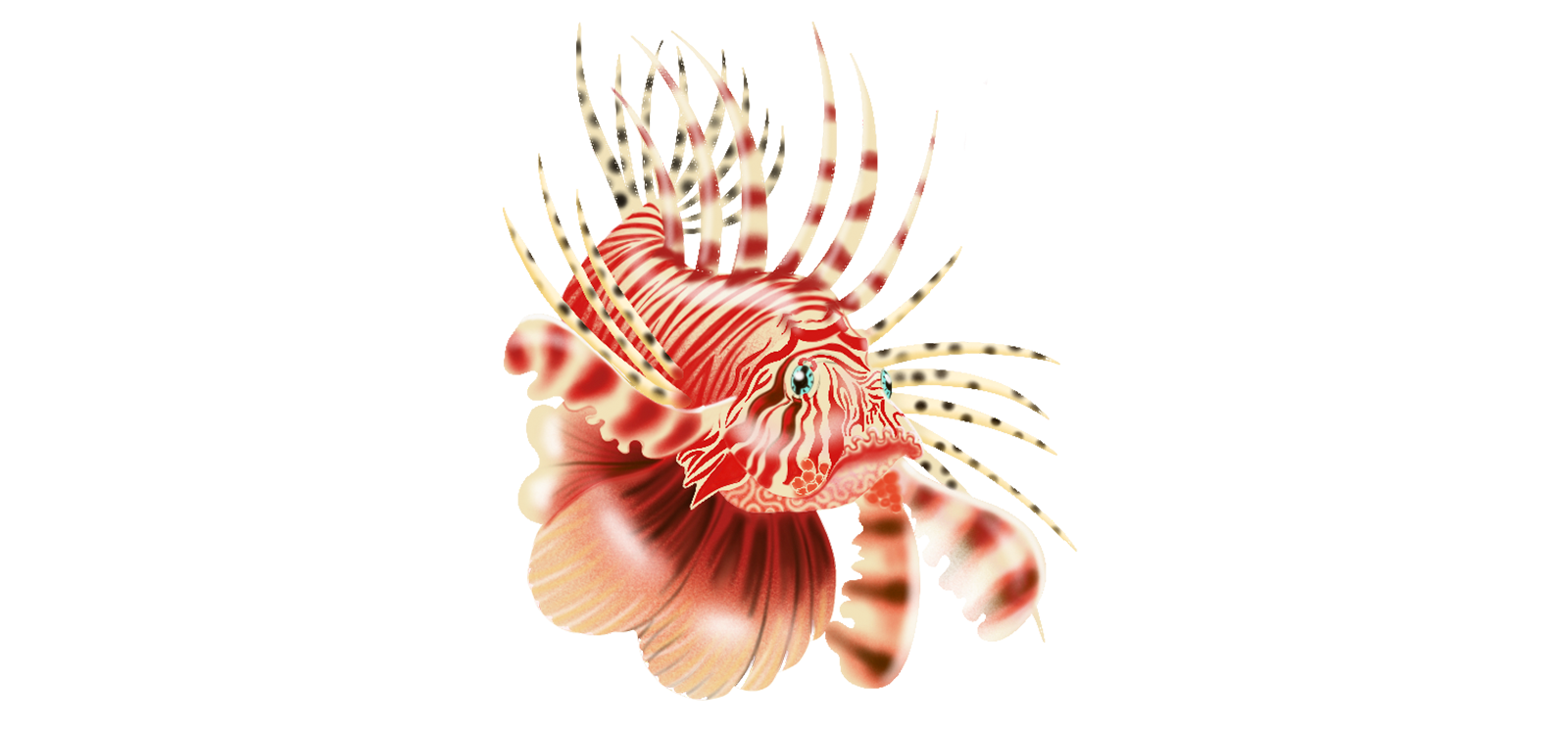 Illustration of lionfish