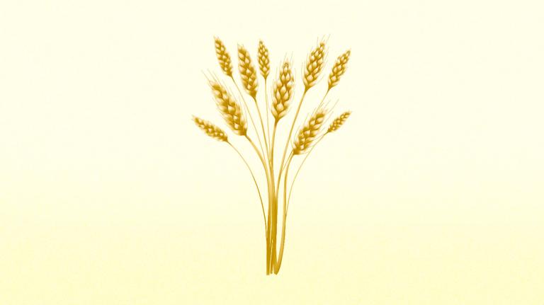 Illustration of wheat on cream background