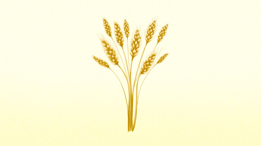 Illustration of wheat on cream background