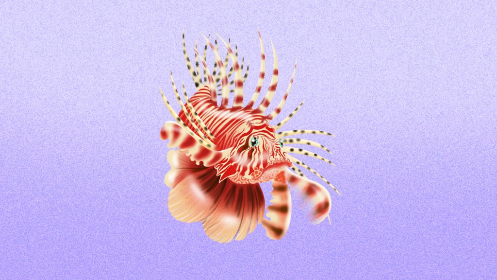 Illustration of red lionfish on purple background