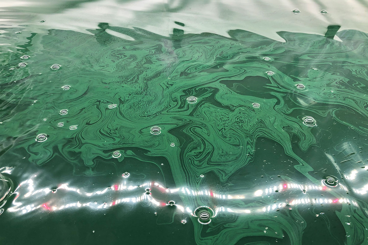 Surface of water full of green swirls and bubbles