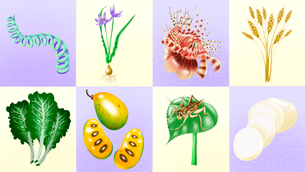 Illustration of 8 food items, including spirulina, camas, lionfish, wheat, collard greens, pawpaw, cricket, and cheese