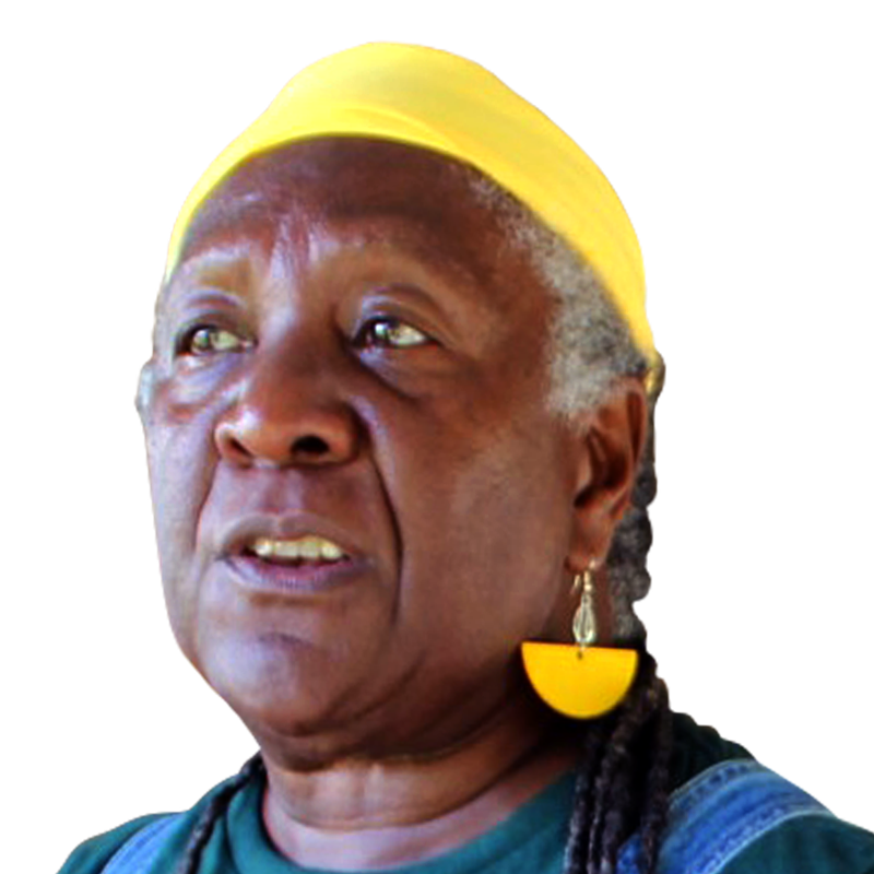 Bonnetta-Adeeb headshot