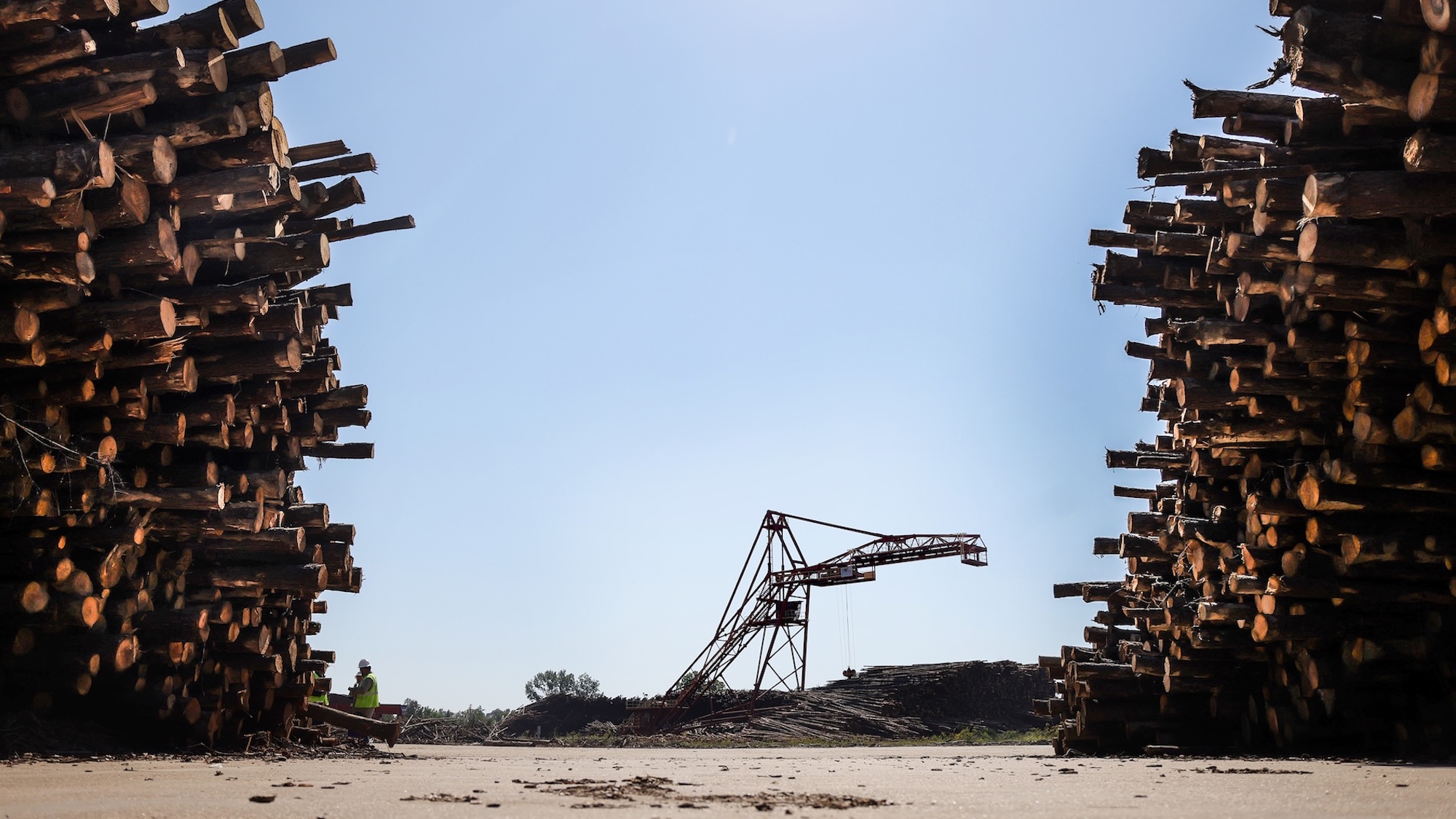 Equipment to move logs in between two giant piles of logs at a biomass facility