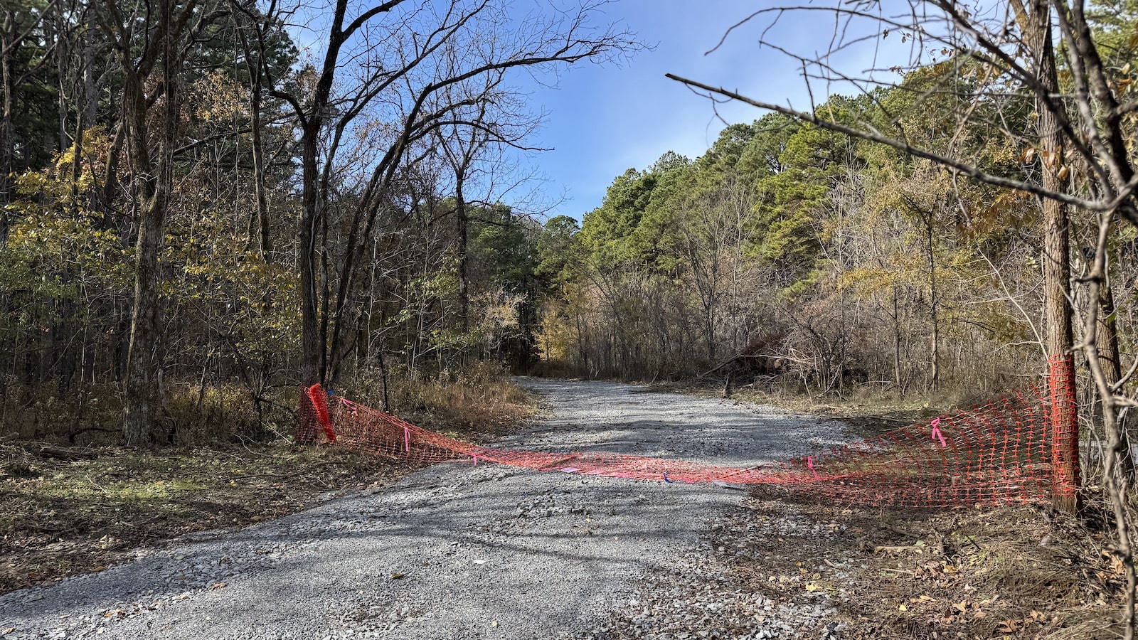 Road into forest in Illinois