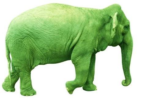 green elephant teddy