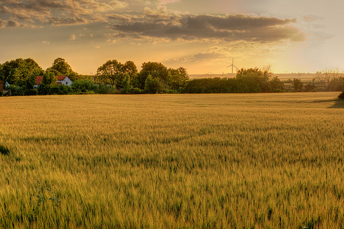 Why world food prices may keep climbing | Grist