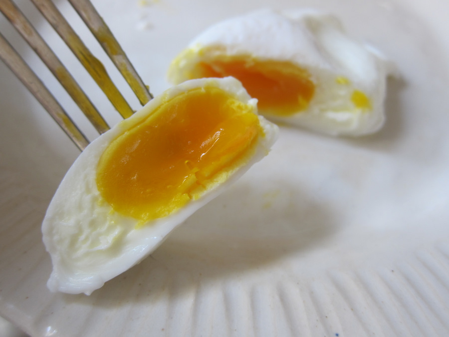 Superconvincing fake egg is made entirely from plants Grist