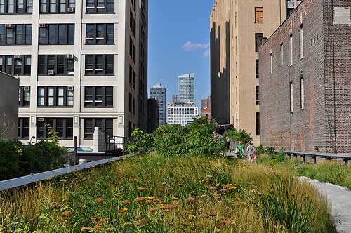 Turning vacant lots into parks reduces violent crime | Grist