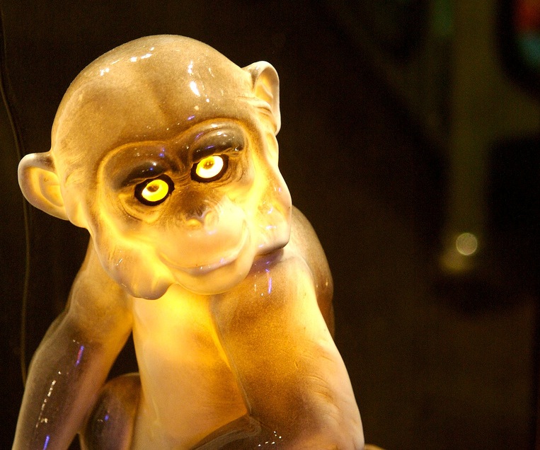 Radioactive monkeys will patrol Fukushima Grist