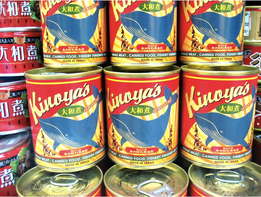 Activists get Amazon to stop selling whale meat Grist