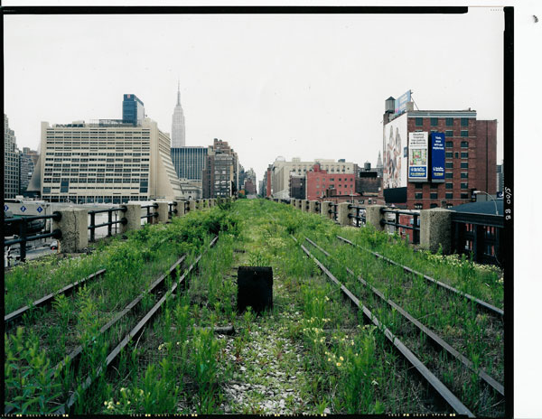 Great Museums: Elevated Thinking: The High Line in New York City 