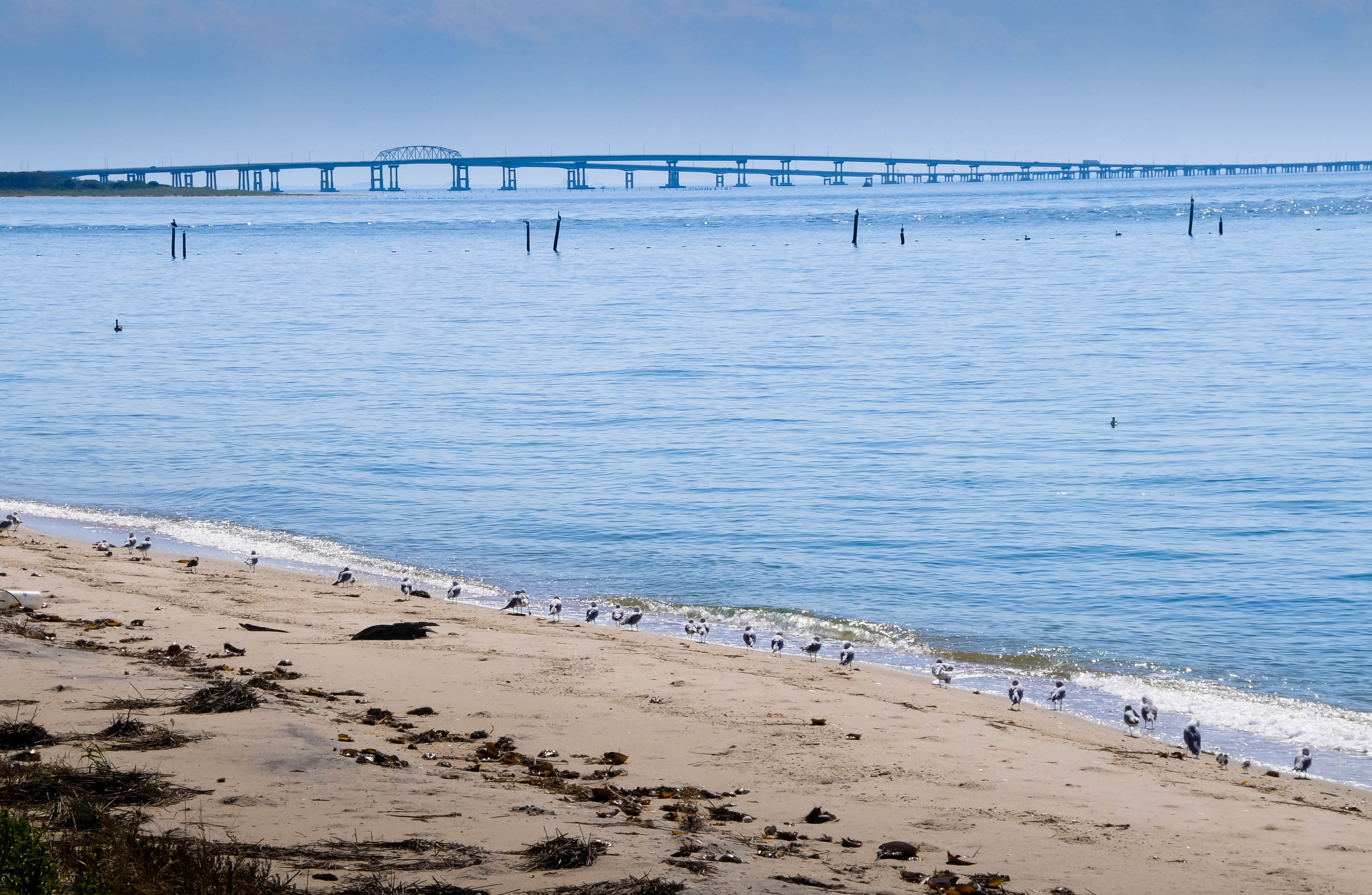 The Chesapeake Bay Another Possible Casualty Of This Year S Farm Bill   Chesapeake Bay Bridge Tunnel Virginia Beach Area 