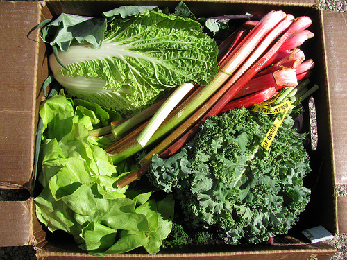 box me in: The growth of CSA-style produce delivery | Grist