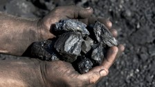 Coal