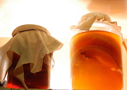 Mother Load The Secret To Diy Kombucha Grist