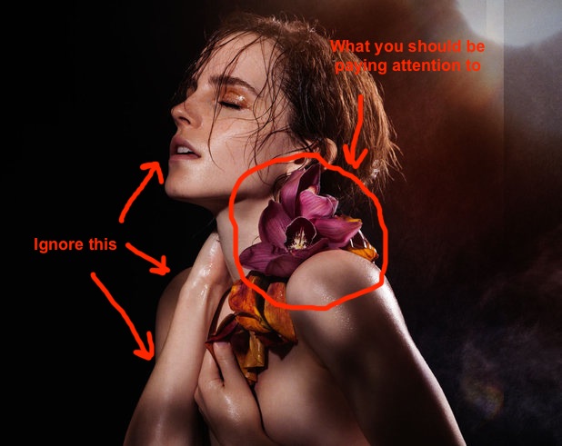 618px x 491px - For some reason, Emma Watson thinks getting naked will help the environment  | Grist