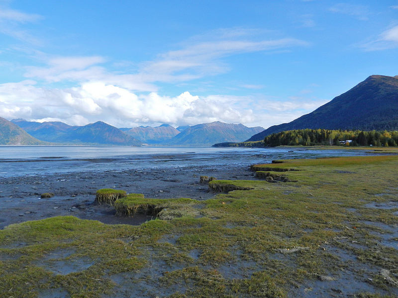 America's first climate refugees: How climate change eats the Alaskan ...