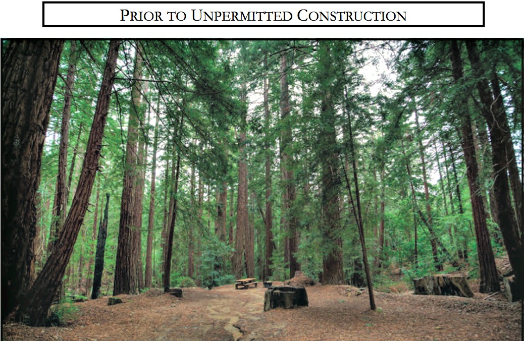 Sean Parker defends multimilliondollar wedding Grist