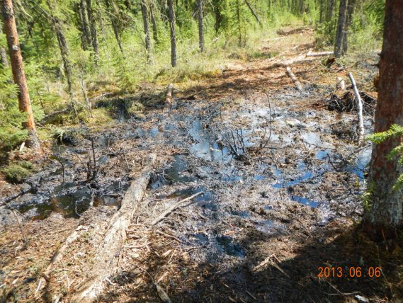 Oil spill at Cold Lake, Alberta