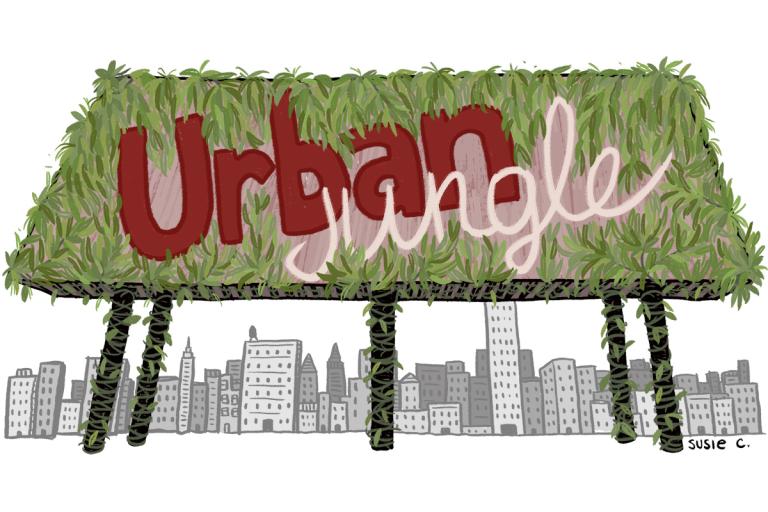 Urban Jungle