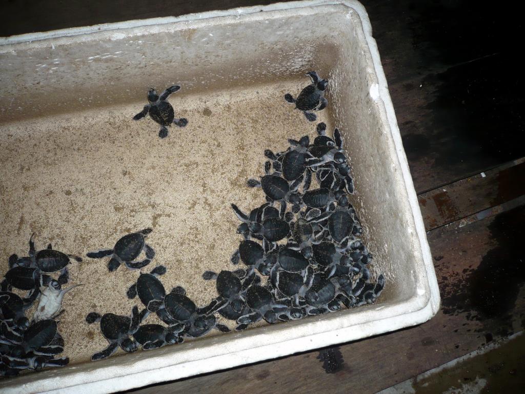 Climate set to change "orders of magnitude" faster than at any other