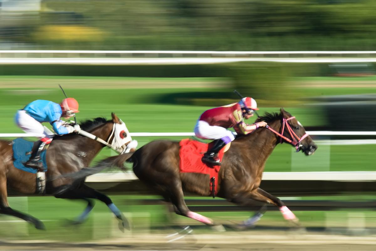 horse race