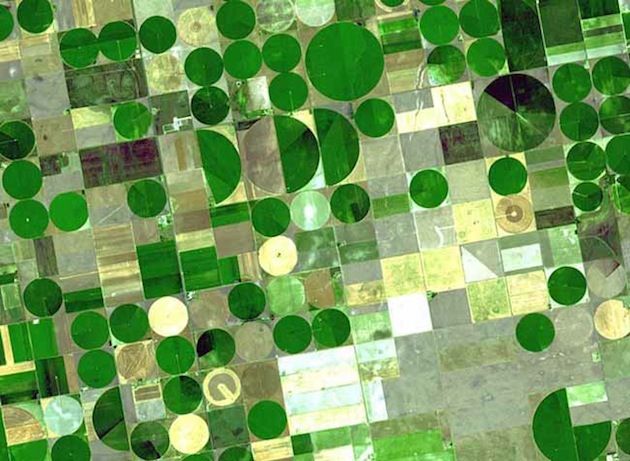 How to make an arid region bloom: irrigated farm plots (between 0.5 and 1 mile in diameter) over the High Plains Aquifer in western Kansas.