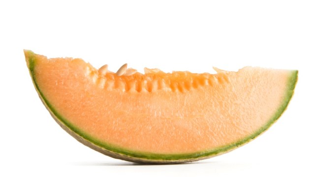 cantaloupe