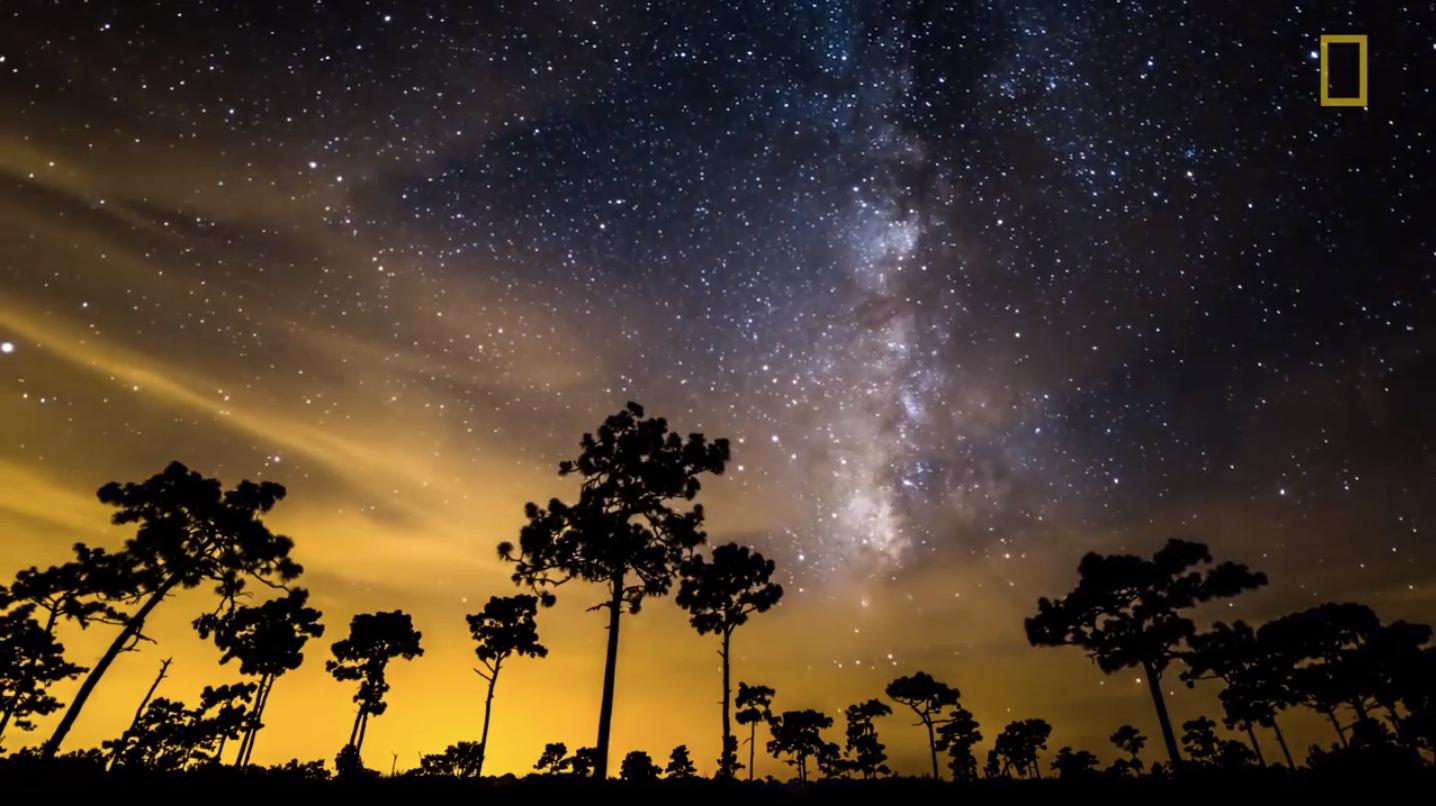 This time-lapse nature porn is your five-minute dose of Zen | Grist