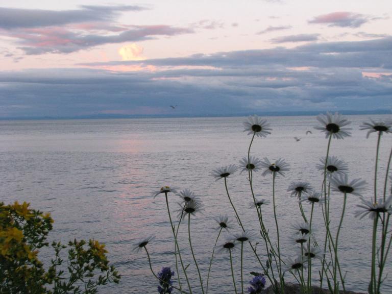 The St. Lawrence River