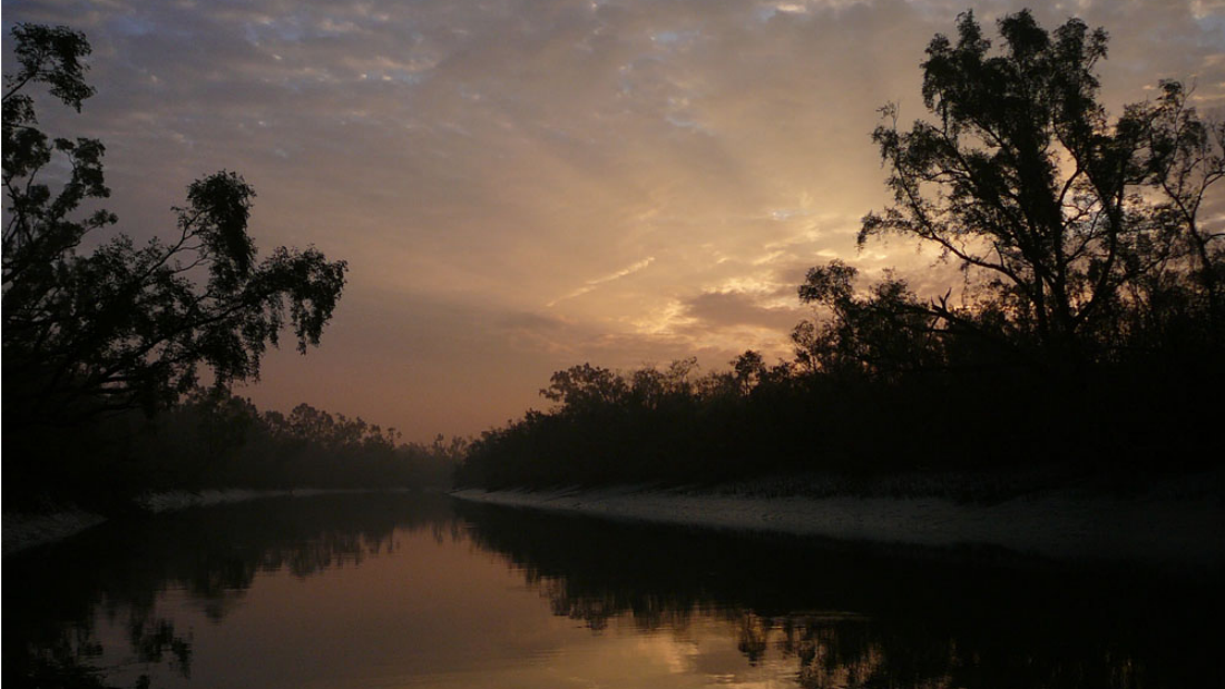 Sundarbans National Park in Bangladesh