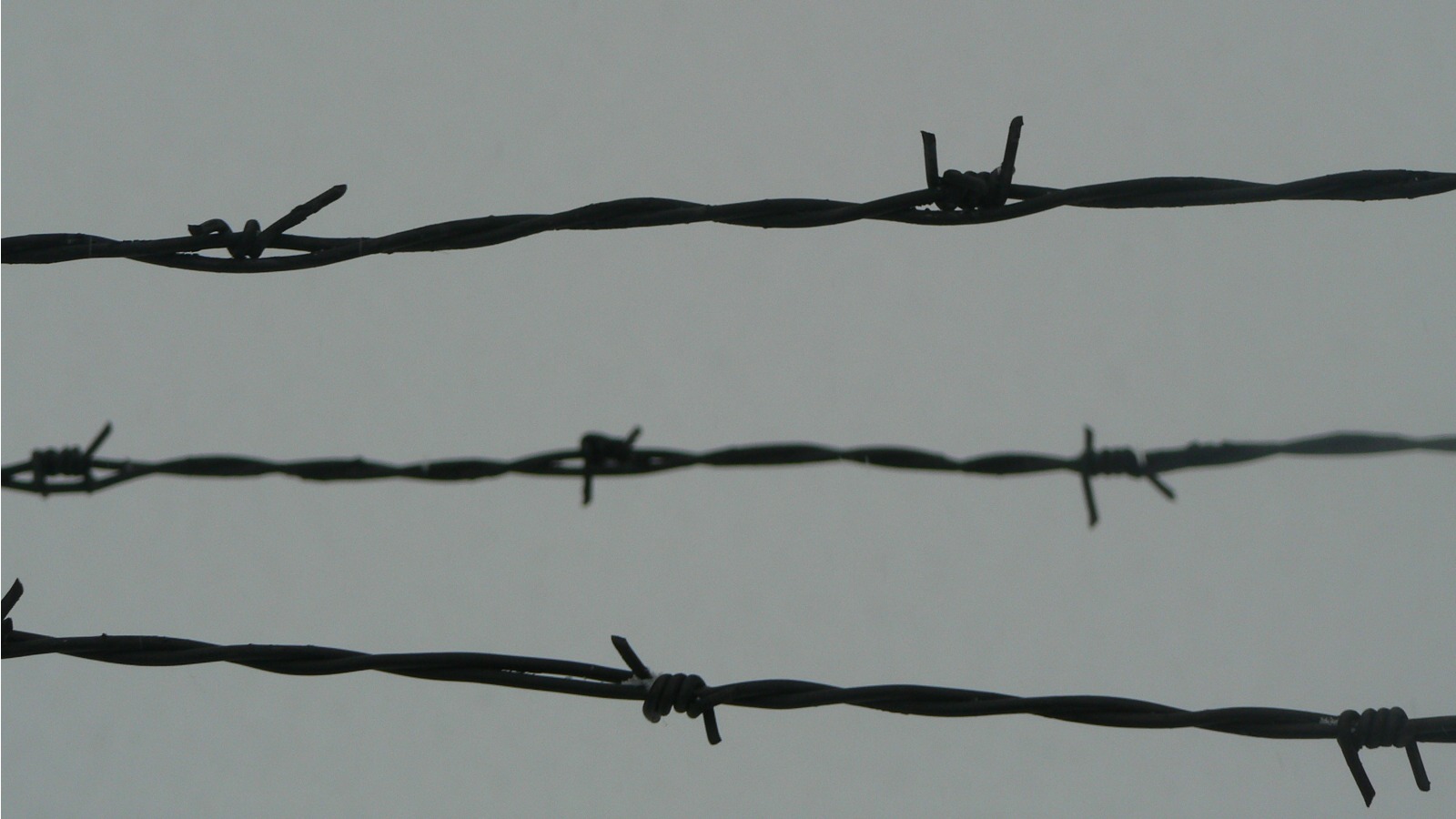 Barbed wire at Auschwitz