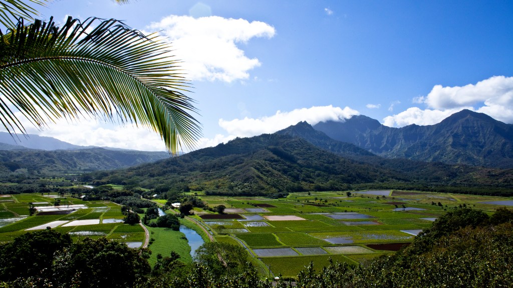 Kauai fields